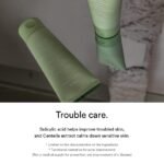 Abib - Acne Foam Cleanser Heartleaf Foam - additional product view 3 - wholesale