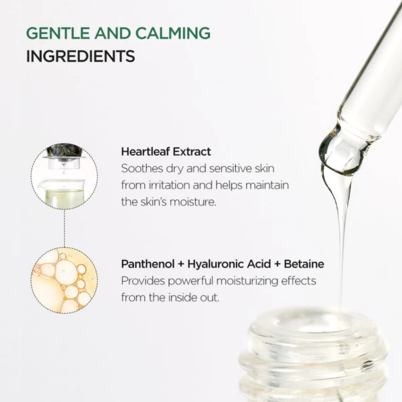 Anua - Heartleaf 80 Moisture Soothing Ampoule - additional product view 5 - wholesale
