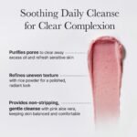 Arencia - Fresh Rosehip Rice Mochi Cleanser - additional product view 4 - wholesale