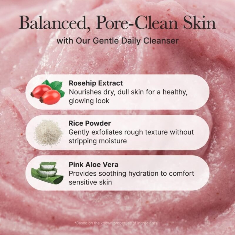 Arencia - Fresh Rosehip Rice Mochi Cleanser - additional product view 5 - wholesale