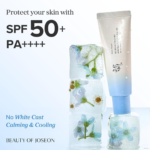 Beauty of Joseon - Relief Sun Aqua-fresh - additional product view 3 - wholesale