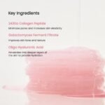 Biodance - Collagen Gel Toner Pads - 60 pads - additional product view 2 - wholesale
