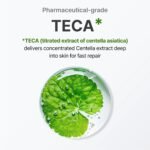 centellian24-the-madeca-cream-season-6-50ml-cncothemadecacreamxxxv-50ml-secondary-05.jpg Centellian24 - The Madeca Cream (Season 6) - additional product view 5 - wholesale