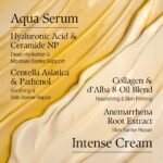 Version 1.0.0 D'alba - White Truffle Double Serum & Cream - additional product view 5 - wholesale