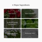 DR Althea - Masque Visage Hydratation Intense Oasis Soothing 5 Pcs - 2023 Version - additional product view 6 - wholesale