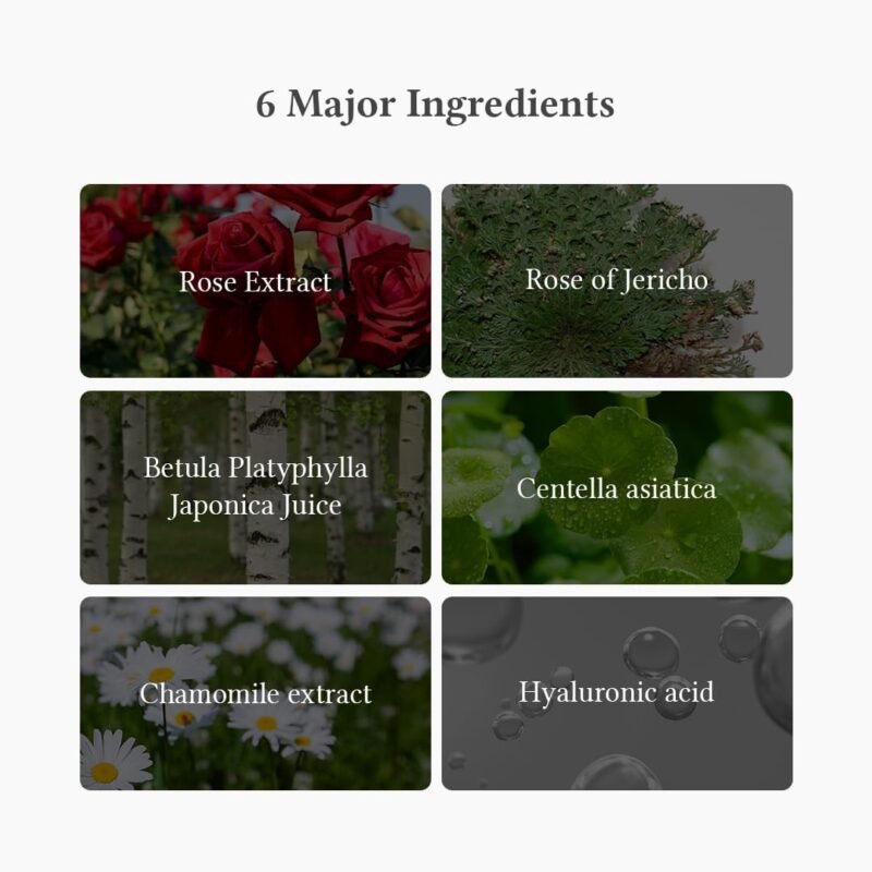 DR Althea - Masque Visage Hydratation Intense Oasis Soothing 5 Pcs - 2023 Version - additional product view 6 - wholesale