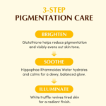 EQQUALBERRY - Collagen Glow Up Gel Toner Pads - additional product view 6 - wholesale