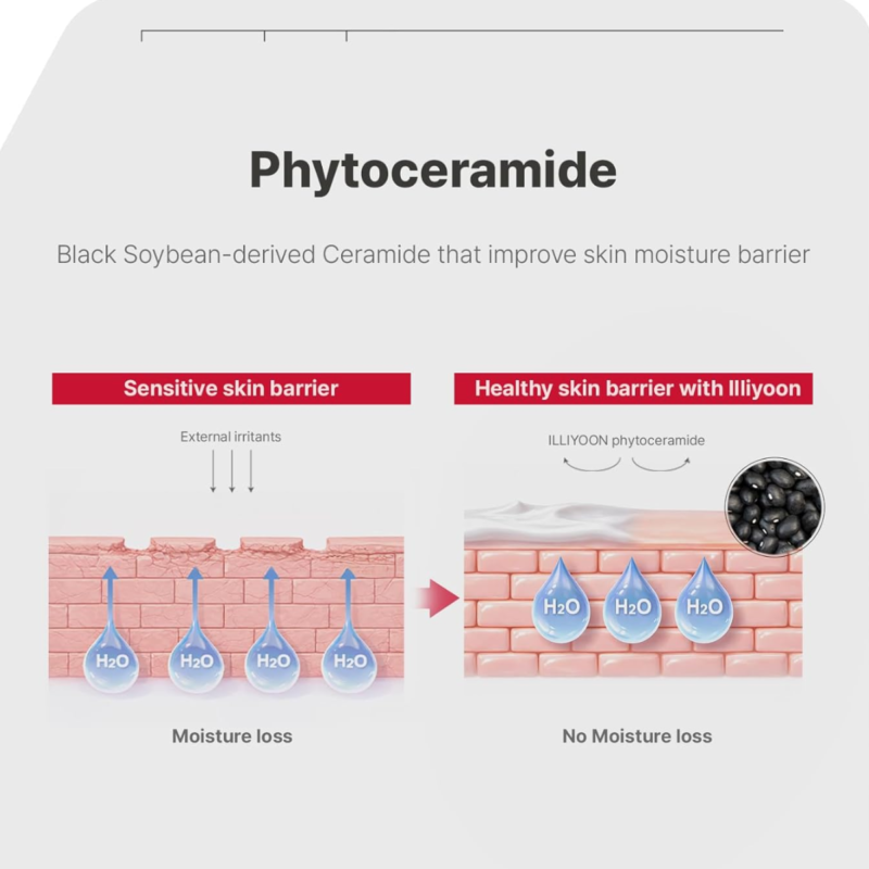 ILLIYOON - Ceramide Ato Concentrate Cream - additional product view 4 - wholesale